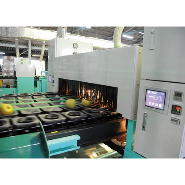 栃木県産JAうつのみや豊水梨(Premium13)4L・2.7kg・7玉「お届け期間」2025/9/9〜2025/9/30【KN】　商品画像2