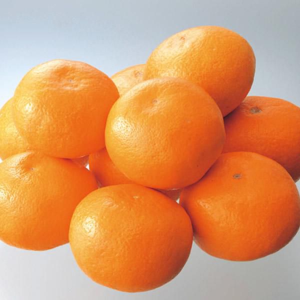 和歌山県産 ハウスみかん2.5kg 化粧箱(24個入)(お届け期間:7月1日〜7月31日)【NN】　商品画像1