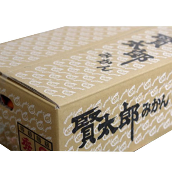 和歌山県産 賢太郎みかん(Lサイズ 5kg) 指定日お届け可【限定100点】【お届け期間:12月7日〜12月29日】【おいしいお取り寄せ】　商品画像2