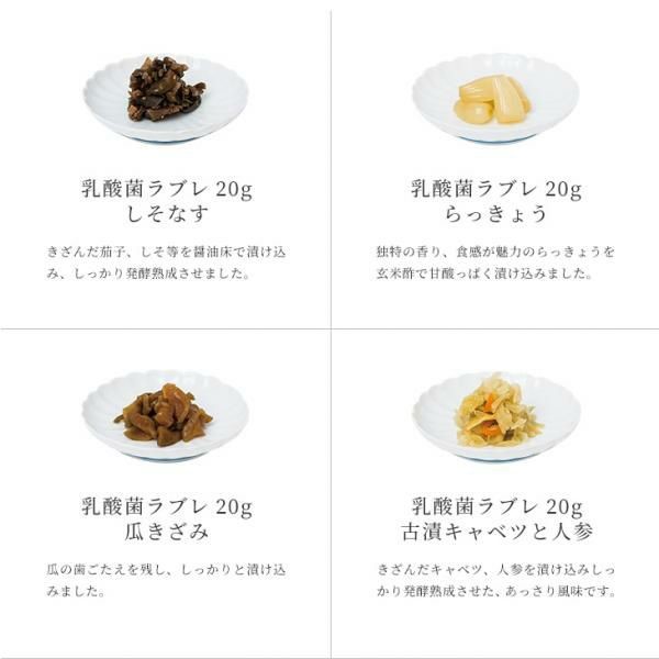 京つけもの西利 乳酸菌ラブレ20g20日間セットNLP-39 【京の伝統】【手土産】 【紙袋あり】【包装あり】【旬の味覚便】【ふるさとの味・近畿】　商品画像2