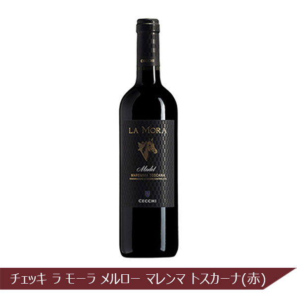 イタリア産 6州ワイン飲み比べセット(750ml×6本)【イタリアフェア】　商品画像2