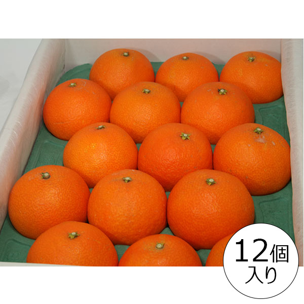 愛媛県産(JAえひめ中央中島選果場) 紅まどんな 3kg 青秀 2Lサイズ【限定500点】【お届け期間：11月20日〜12月25日】【ブラックフライデー】　商品画像2