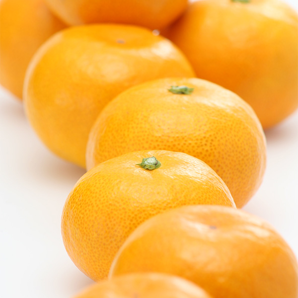 福岡県産(JAふくおか八女) みかん 3kg センサー選果 サイズおまかせ L〜2S【限定1000点】【お届け期間:11月16日〜12月15日】【ブラックフライデー】 商品画像2