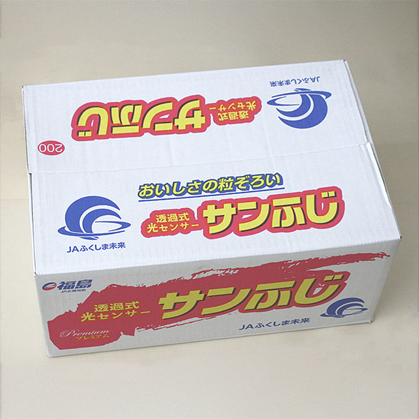 福島県産 りんご 光センサー選果 サンふじ 10kg【お届け期間：12月1日〜12月20日】【ブラックフライデー】　商品画像2