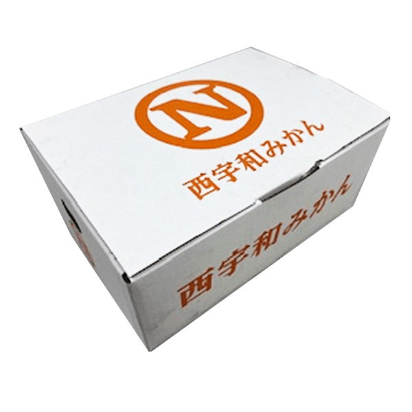 愛媛県産 西宇和みかん(ご自宅用) 3kg 良品 3L〜2Lサイズ【お届け期間:11月19日〜11月30日】【ブラックフライデー】【ふるさとの味・中四国】　商品画像2