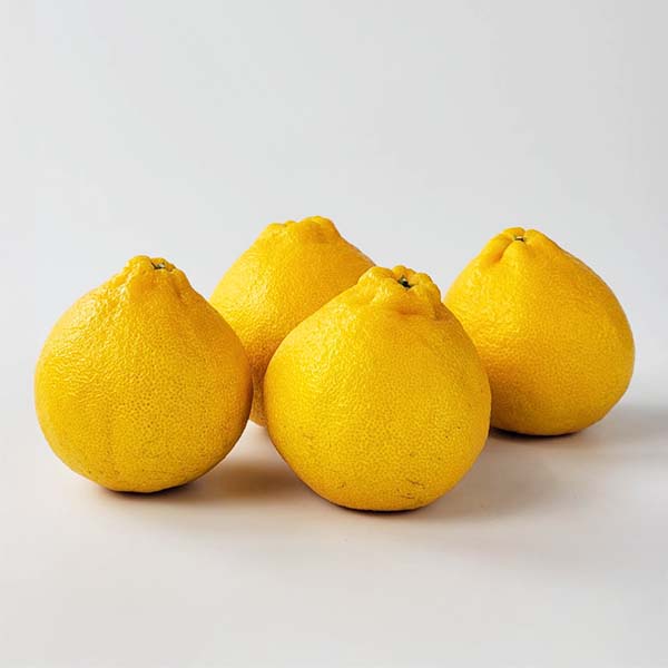 熊本県産 デコポン 2kg【お届け期間：2月1日〜2月28日】【イオンゴールドカード会員さま限定特別セール1月】　商品画像2