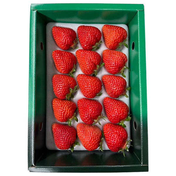 福岡県産 いちご 博多あまおう 緑化粧箱入り 400g【お届け期間：1月25日〜2月10日】【イオンゴールドカード会員さま限定特別セール1月】　商品画像2