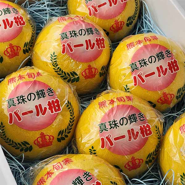 熊本県産 パール柑 6〜8玉【お届け期間:2月1日〜2月28日】【イオンゴールドカード会員さま限定特別セール1月】 商品画像2