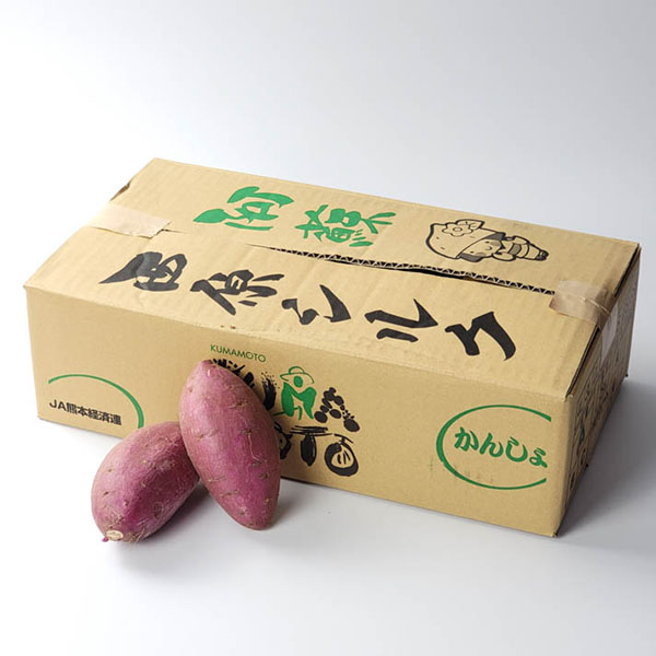 熊本県産 西原シルク(シルクスイート) 5kg【お届け期間：2月14日〜2月28日】【九州フェア】　商品画像2