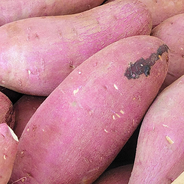 熊本県産 紅はるか 5kg【お届け期間：2月14日〜2月28日】【九州フェア】　商品画像2