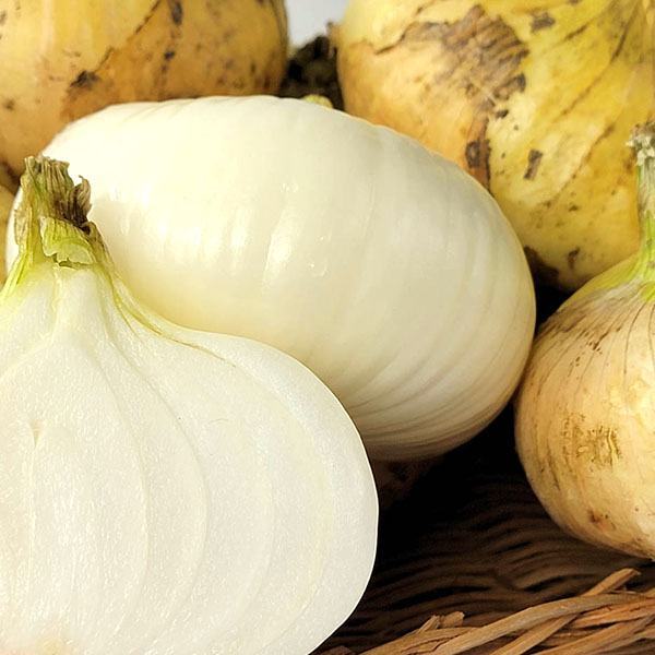 熊本県産 たまねぎ サラ玉ちゃん 5kg L〜Mサイズ【お届け期間:3月1日〜3月25日】【イオンゴールドカード会員さま限定特別セール2月】 商品画像2