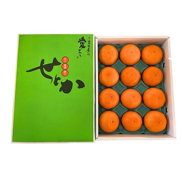 愛媛県産(JAえひめ中央中島選果場)せとか 3kg 2L・3L(12玉・10玉)【お届け期間：3月1日〜3月15日】【イオンゴールドカード会員さま限定特別セール2月】　商品画像2