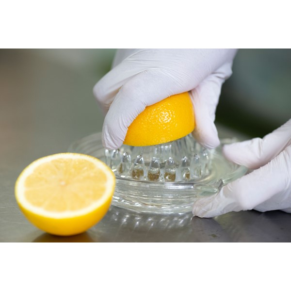 和歌山 kanowa 紀州プレミアム生レモンケーキ 1本(550g)【NN】　商品画像2