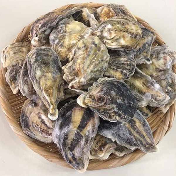 瀬戸内海産 冷凍殻付き牡蠣缶焼きセット 2kg【GW】【おいしいお取り寄せ】　商品画像2