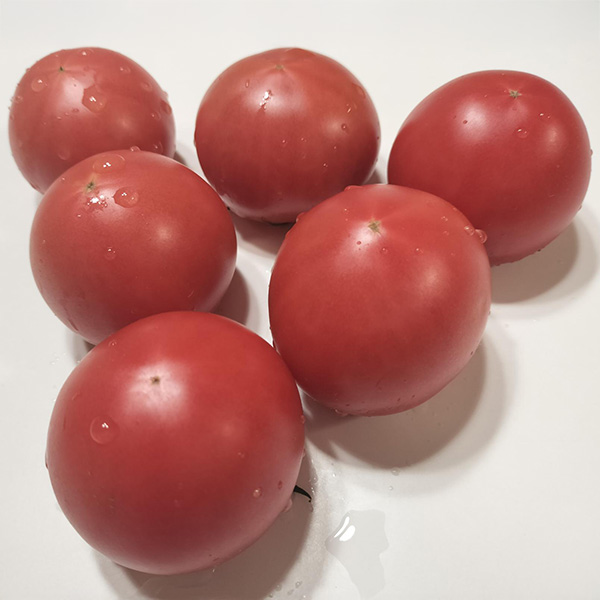 宮城県産 トマト こだわりくん 9〜12個【お届け期間:4月16日〜4月30日】【イオンゴールドカード会員さま限定特別セール4月】 商品画像2