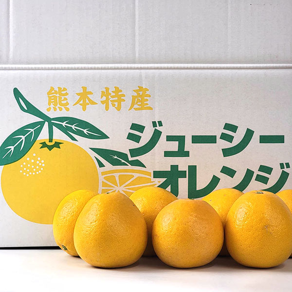 熊本県産 河内晩柑(ジューシーオレンジ) 5kg【お届け期間：4月1日〜4月25日】【超！春トク祭り】　商品画像2