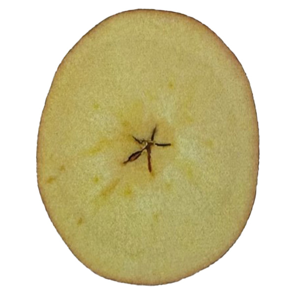 青森県産りんご 明秋 ご自宅用 2kg【お届け期間：3月20日〜4月3日】【Ａセレクション3月】　商品画像2