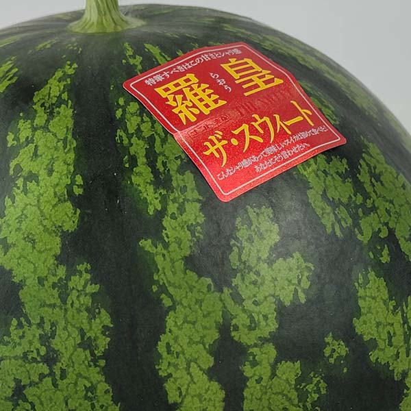 熊本県産 すいか 羅皇・ザ・スウィート(タネフリー) Lサイズ 1玉【お届け期間：5月18日〜6月15日】【おいしいお取り寄せ】　商品画像2