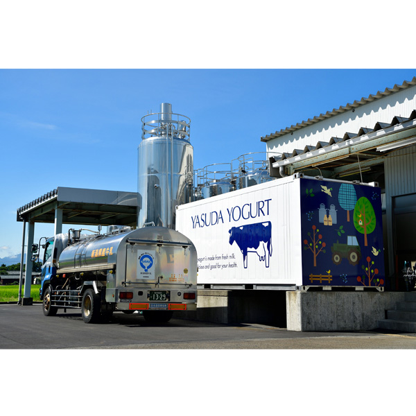 新潟 ヤスダヨーグルトギフト G2455【お届け期間】2025/11/10‐2026/01/10【冬の贈りもの・お歳暮】【KN】　商品画像2