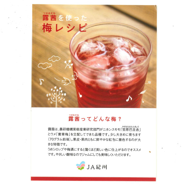 和歌山県産 JAわかやま(紀州地域本部)青梅 露茜(つゆあかね) 3L寸 2kg【限定30点】【お届け期間：6月10日〜7月18日】【おいしいお取り寄せ】　商品画像2