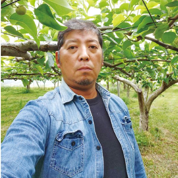 埼玉県産上里町地区川田さんの早もぎ彩玉梨5L〜6L・2.8kg・6〜5玉「お届け期間」2025/8/26〜2025/9/1【KN】　商品画像2