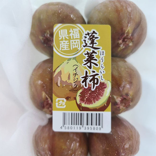 福岡県産 いちじく 蓬莱柿(ほうらいし) 270g×4パック【お届け期間:8月20日〜8月25日】【おいしいお取り寄せ】 商品画像2
