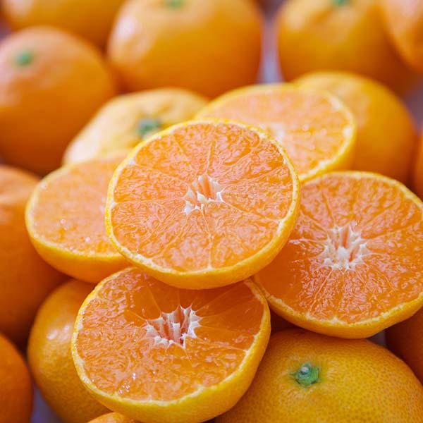 ミヤモトオレンジガーデン もぎたて自然のしずく みかんジュース 4種飲み比べセット【おいしいお取り寄せ】　商品画像2