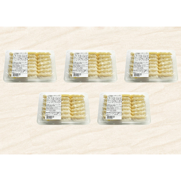 大阪 原田屋 生餃子100個 生餃子(17g×20)×5、餃子のたれ10g×10【NN】　商品画像2