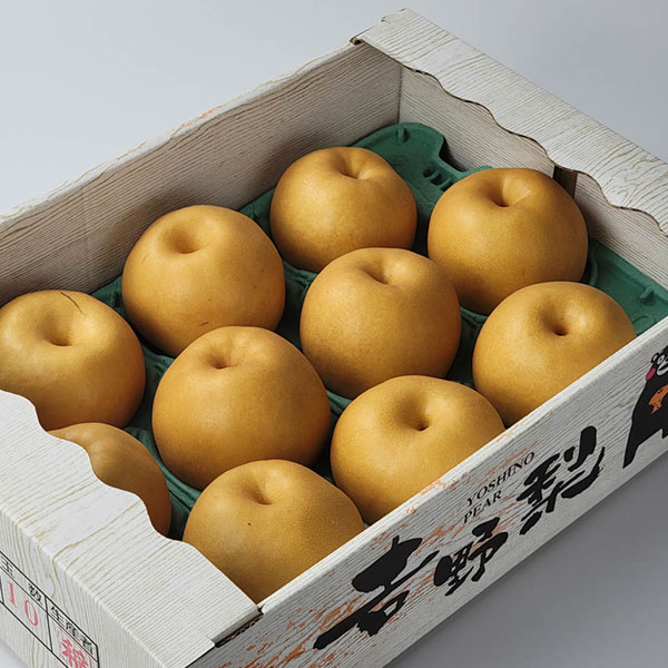 熊本県産 新高梨 5kg【お届け期間：9月25日〜10月20日】【秋のうまいもの市】　商品画像2