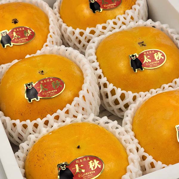 熊本県産 太秋柿 5玉〜6玉 化粧箱入【お届け期間:10月1日〜11月20日】【秋のうまいもの市】【おいしいお取り寄せ】 商品画像2