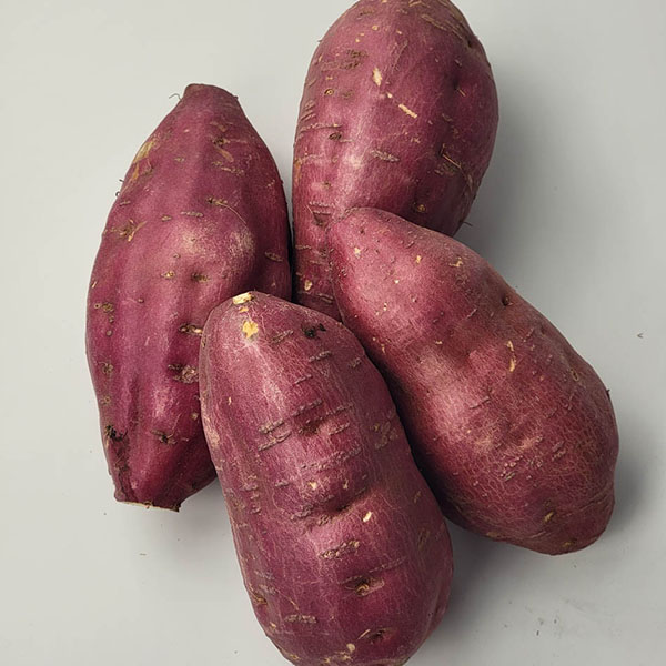 宮崎県産 さつまいも 宮崎紅【お届け期間：9月20日〜1月31日】【おいしいお取り寄せ】　商品画像2