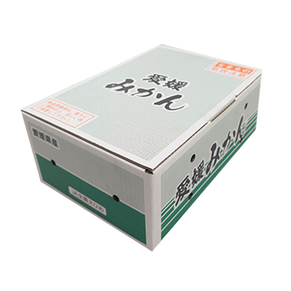 愛媛県産(JA全農えひめ) 極早生みかん 2.8kg【限定300点】【お届け期間：10月1日〜10月31日】【お買い得セール9月】　商品画像2
