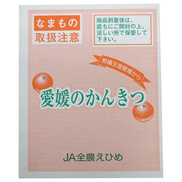 愛媛県産 あいか 計1.5kg以上・4L〜Mサイズ【お届け期間:12月1日〜12月28日】【旬鮮便】【NN】 商品画像2
