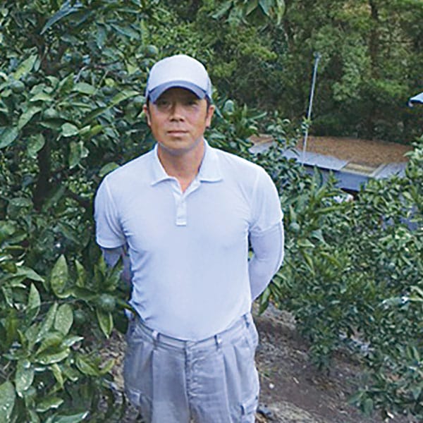 和歌山県産 森俊農園の田村みかん Mサイズ2.5kg(赤秀)木箱 24玉入【お届け期間:11月25日〜12月25日】【旬鮮便】【NN】　商品画像2