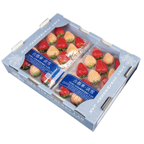 奈良県産 いちご(古都華・淡雪) 250g以上(12〜15粒) 2パック1箱【お届け期間:2月1日〜3月20日】【旬鮮便】【NN】　商品画像2