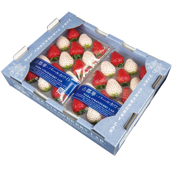 奈良県産 いちご(古都華・パールホワイト) 250g以上(12〜15粒) 2パック1箱【お届け期間:2月1日〜3月20日】【旬鮮便】【NN】　商品画像2