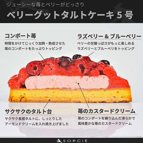 魔法洋菓子店ソルシエ ベリーグッドタルトケーキ クリスマス飾り付【イオンのクリスマス】　商品画像2