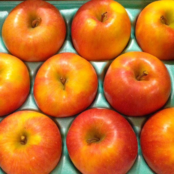 青森県産(JA津軽みらい石川) こみつりんご(白箱)自宅用 秀A  2kg【限定500点】(お届け期間：11月20日〜12月29日)【おいしいお取り寄せ】　商品画像2