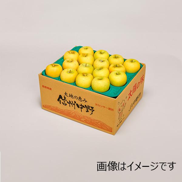 長野県産(JA中野市) りんご シナノゴールド わけあり 10kg 36〜40玉【限定100点】【お届け期間:11月15日〜12月10日】【ブラックフライデー】 商品画像2