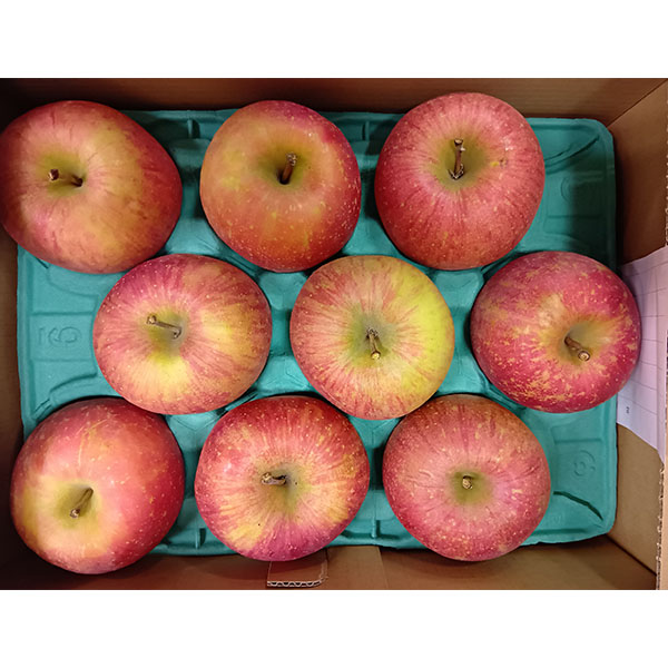 青森県産 葉とらずりんご ご家庭用 2.7kg【限定500点】【お届け期間：1月6日〜1月31日】【お買い得セール12月】　商品画像2