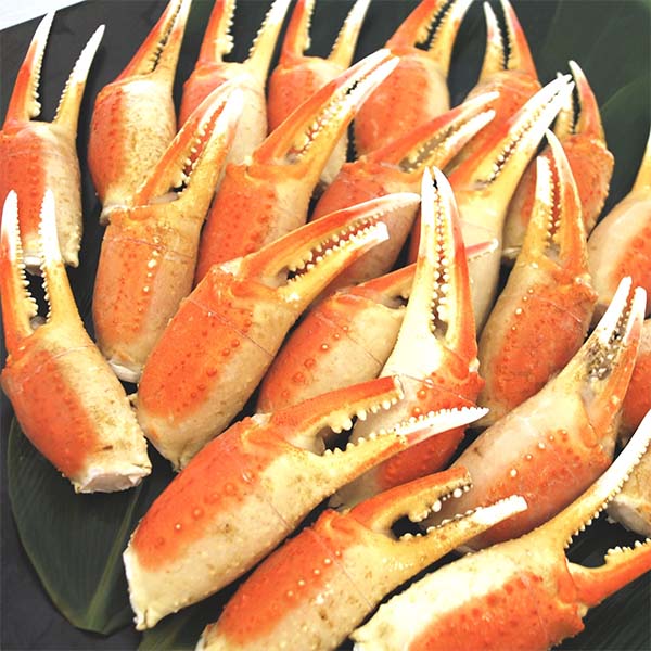 ボイルずわいがに筋入り爪肉 500g×2【お届け期間:12月18日〜12月30日】【イオンゴールドカード会員さま限定特別セール12月】 商品画像2