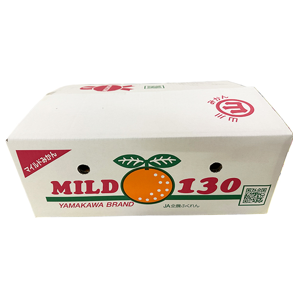 福岡県産山川みかん(マイルド130)4kg箱山川みかん4kg箱(L〜S)【お届け期間:12月10日〜12月25日】【NN】　商品画像2