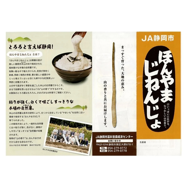 静岡県産(JA静岡市) ほんやま自然薯 Lサイズ3本入り化粧箱【ブラックフライデー】【CB】　商品画像2