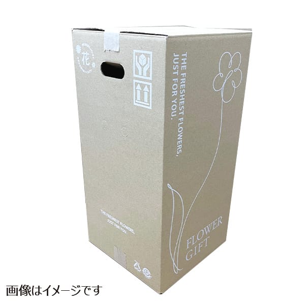 新潟県佐藤農園 シクラメン「フュージョン」鉢直径約15cm、高さ約35cm、赤・ピンク系【お届け期間】2025/12/16‐2025/12/21【KN】　商品画像2
