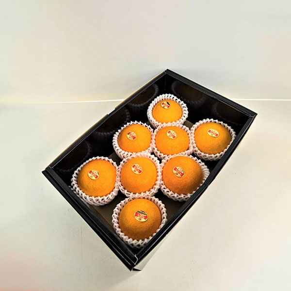 愛媛県産(JAえひめ中央中島選果場) 紅まどんな 1.5kg 青秀Lサイズ【限定50点】【お届け期間：12月8日〜12月25日】【おいしいお取り寄せ】　商品画像2