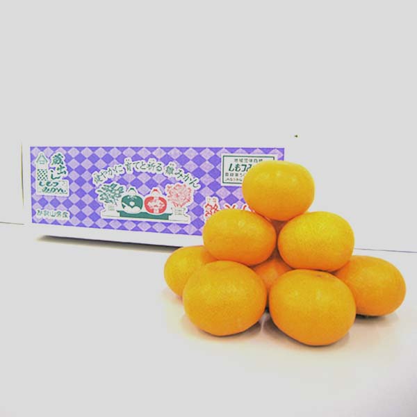 和歌山県産(JAわかやま しもつ蔵夢選果場)蔵出ししもつみかん(雛みかん