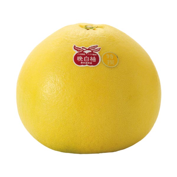 熊本県産 晩白柚・ゼリー セット【限定500点】【お届け期間：1月13日