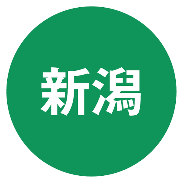 新潟永徳塩引鮭・味噌漬・粕漬セット【お届け期間】1/11‐2/8【KN】　商品画像2