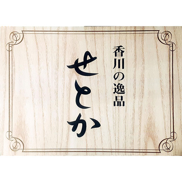 香川県 せとか 2.8kg以上化粧箱 1箱(7-12玉入)【お届け期間:2月5日〜3月14日】【NN】 商品画像2