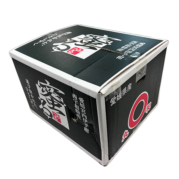 愛媛県 JAにしうわ みつる共選蜜るいよかん 計9kg以上 特秀3L〜L【お届け期間:2月5日〜2月28日】【NN】 商品画像2